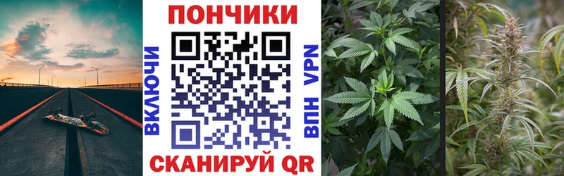 OMG ТОР  Анапа  Бошки марихуана индика 